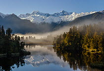 RF- Morning mist and reflections on Lake Matheson with Aoraki / Mount Cook (right; 3754m) and Mount Tasman (left; 3498m). Fox Glacier, Westland National Park, South Island, New Zealand. September, 200...
