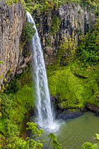 RF- Bridal Veil Falls (55m), Raglan, Waikato, North Island, New Zealand. November, 2006. (This image may be licensed either as rights managed or royalty free.)