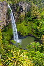 Bridal Veil Falls (55m), Raglan, Waikato, North Island, New Zealand. November, 2006.