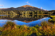 Livingstone Mountains and beech forest reflected in small tarn near Mavoura Lakes, Southland, South Island, New Zealand. November, 2006.