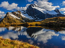 Early morning light on MacKinnon Pass, the highest point of the Milford track. Mount Elliot (1928m) and Mount Wilmur (right) being reflected in an alpine tarn, Milford Track, Fiordland National Park,...