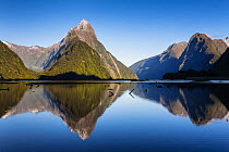 Early morning light on Mitre Peak (1683m) reflected in the calm waters of Milford Sound; Milford Sound, Fiordland National Park, Southland, South Island, New Zealand. November, 2007