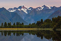 Late evening light on the Souttern Alps being perfectly relected in the calm waters of Lake Matheson. New Zealand's highest mountain, Mount Cook or Aoraki (3754m) is tho the right, and Mount Tasman (3...