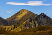 Light playing on the Lindis Pass tussocks covered hills and valleys. Lindis Pass is part of the Lindis Conservation Area, Hawea and Ahuriti Conservation Parks. This region is possibly New Zealand's be...