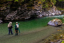 Two fly fishermen fishing to 'sighted' brown trout (Salmo trutta) in a clear 'backcountry' river, North Canterbury South Island, New Zealand. December, 2011.