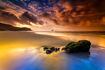 Sandfly Bay at sunrise. Otago Peninsula, Dunedin, South Island, New Zealand. January, 2012 taken with 'Blue-n-Gold Polariser'