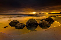 Moeraki Boulders / Kaihinaki on Koekohe Beach at sunrise, crepuscular rays on the horizon. 60 Million year old mudstone concretions. Moeraki, Waitaki District, Otago Region, South Island, New Zealand....