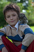 Little owl (Athene noctua) sitting on young boy's shoulder, rescued animal, France. Model released