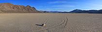 Panoramic view of the Sliding Stones or Moving Rocks of Racetrack Playa, Death Valley, California, USA