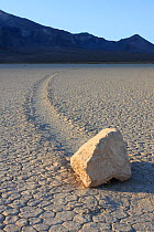 Sliding Stone or Moving Rock of Racetrack Playa, Death Valley, California, USA