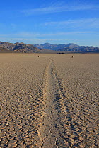 Track left by sliding stone or moving rock of Racetrack Playa, Death Valley, California, USA