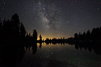Lake at night  with reflected stars of the Milky Way and silhouetted trees, Lassen Volcanic National Park, California, USA