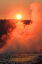 Steaming hot springs at sunset, Yellowstone National Park, Wyoming, USA