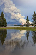 Distant smoke rising from a forest fire in Yellowstone National Park, Wyoming, USA. September 2011
