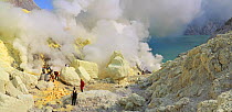 People working at sulphur mine at Kawah Ijen, Java, Indonesia.