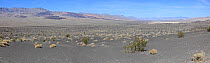 Desert scrub land panorama, Death Valley, California, USA