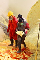 Men working the sulphur mine at Kawah Ijen, Java, Indonesia. No release available.