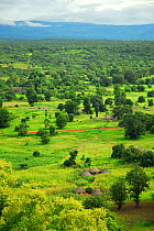 Village huts in landscape in Bassari country, located east Senegal. This area became a UNESCO World Heritage site in 2012, for cultural landscape and traditions kept by the the Bassari, Fula and Bedik...
