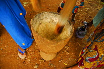 Women pounding grain in a mortar by hand, Bassari country, located east Senegal. This area became a UNESCO World Heritage site in 2012, for cultural landscape and traditions kept by the the Bassari, F...