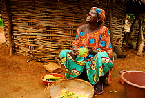 Bassari woman preparing vegetables. Bassari country,  east Senegal. This area became a UNESCO World Heritage site in 2012, for cultural landscape and traditions kept by the the Bassari, Fula and Bedik...