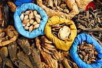 Animal amulets in Sandaga market, one of the most important in Dakar. Crocodile heads, aardvark claws (Orycteropus afer), vulture heads, lizards, turtles and shells. Dakar, Senegal