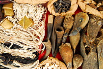 Animal amulets for sale in Sandaga market, one of the most important in Dakar. Crocodile heads, vulture heads and horns. Dakar, Senegal