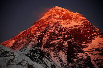 Last evening light on the top of Everest (8848m) in Sagarmatha National Park, UNESCO World Heritage Site, Khumbu / Everest Region, Nepal, Himalaya, October 2011
