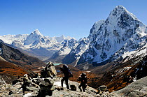 People trekking on Cho La Pass (5.420m), Sagarmatha National Park (World Heritage UNESCO). Khumbu / Everest Region, Nepal, Himalaya, October 2011