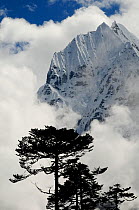 Thamserku Peak (6608m) surrounded by cloud with trees silhouetted below, Sagarmatha National Park (World Heritage UNESCO). Khumbu / Everest Region, Nepal, Himalaya, October 2011.