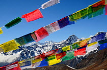 Prayer flags on Cho La Pass (5.420 m), Sagarmatha National Park (World Heritage UNESCO). Khumbu / Everest Region, Nepal, Himalaya, October 2011.