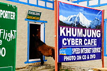 Globalization in the form of internet cyber cafe in the small sherpa village of Khumjung, with pony looking in, at 3800m altitude in Sagarmatha National Park (World Heritage UNESCO). Khumbu / Everest...