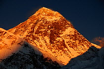 Last light on the top of Everest (8848m),  Sagarmatha National Park (World Heritage UNESCO). Khumbu / Everest Region, Nepal, Himalaya, October 2011.