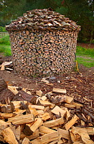 Circular log stacks, North Norfolk, UK