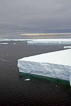 Edge of large piece of ice sheet drifting in sea. Antarctic Peninsula. February 2008.