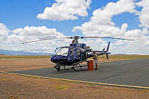 Pilot Mike Watson refuelling helicopter (mounted with Cineflex camera) from drum. Amboseli, Kenya. December 2007. Taken on location for BBC tv series 'Life'
