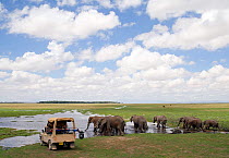 Yogicam' (vehicle-mounted Cineflex camera) alongside herd of drinking elephants (Loxodontia africana) at edge of swamp. Amboseli, Kenya. December 2007 Taken on location for BBC tv series 'Life