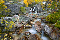 Waterfall cascading through rocky gorge in autumn, Stor-Elvdal, near Rondane National Park, Nord-Trondelag, Norway