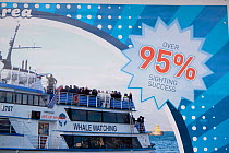 Promotions for whale and seabird watching tours from Reykjavik harbour, Iceland, June 2011