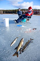 Ice fishing on a freshwater lake, Sweden, April 2008