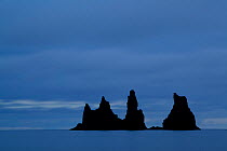 Sea stacks at Reynisdrangar at dusk, Iceland.