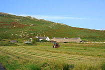 Hay making at a farm on Bardsey Island. North Wales, UK. August 2012.