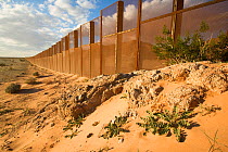 Border wall established to divide USA from Mexico, near Sonoyta, Sonora, northwestern Mexico.