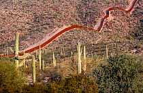 Border wall established to divide USA from Mexico dividing the desert, near Sonoyta, Sonora, nortwestern Mexico.