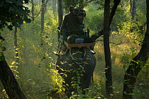 Wildlife cameraman riding on the back of Indian elephant (Elephas maximas), Pench NP, India, taken on location for 'Tiger - Spy in the Jungle'. December 2006