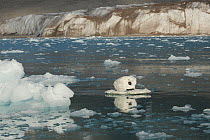 'Iceberg cam' remote camera used for filming polar bears, Svalbard, Norway, taken on location for 'Polar Bear : Spy on the Ice' August 2010