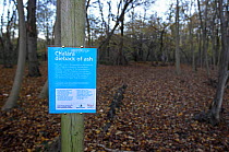 Chalara Ash dieback information sign in  Ashwellthorpe Wood NWT Norfolk UK November 2012. Disease is caused by fungus (Chalara fraxinea)