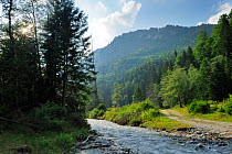 Creek running through Ghimbavul Valley Gorge, Arges County, Leota Mountains, Carpathian Mountains, Romania, July, 2011