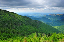 View of forests of the Leota mountain range, Arges county, Carpathian Mountains, Romania, July, 2011