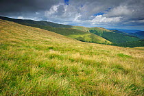 Grassland in alpine area with dark clouds, Leota mountain range, Arges county, Carpathian Mountains, Romania, July, 2011