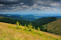 Stormy clouds over alpine grasslands of the Leota mountain range, Arges county, Carpathian Mountains, Romania, July, 2011